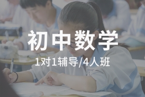 初中数学辅导