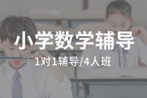 小学数学培训