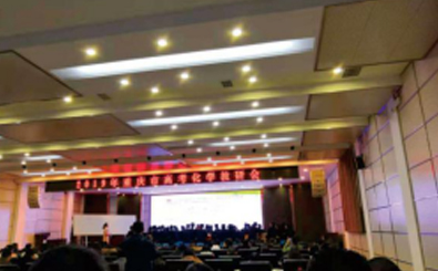 重庆市高考化学复习研讨会活动